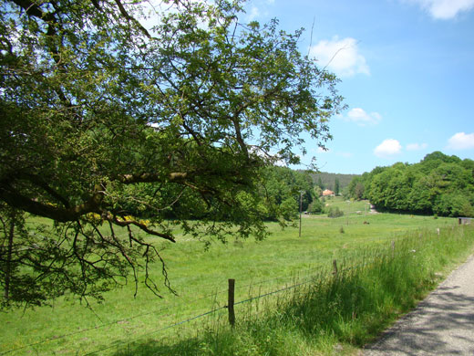 Vue du restaurant de l'Arbre Vert